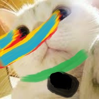catbook